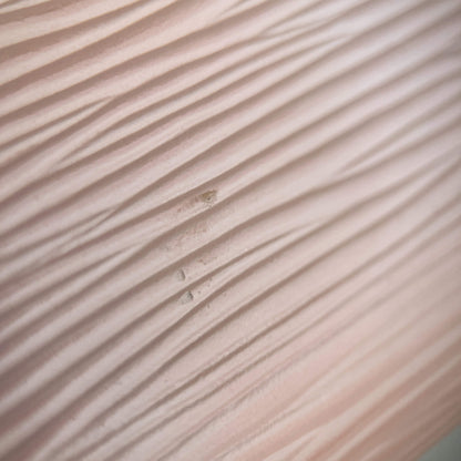 Compact Epi Leather Wallet Pink