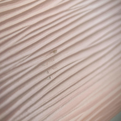 322601068 Louis Vuitton Compact Epi Leather Wallet Pink (14)