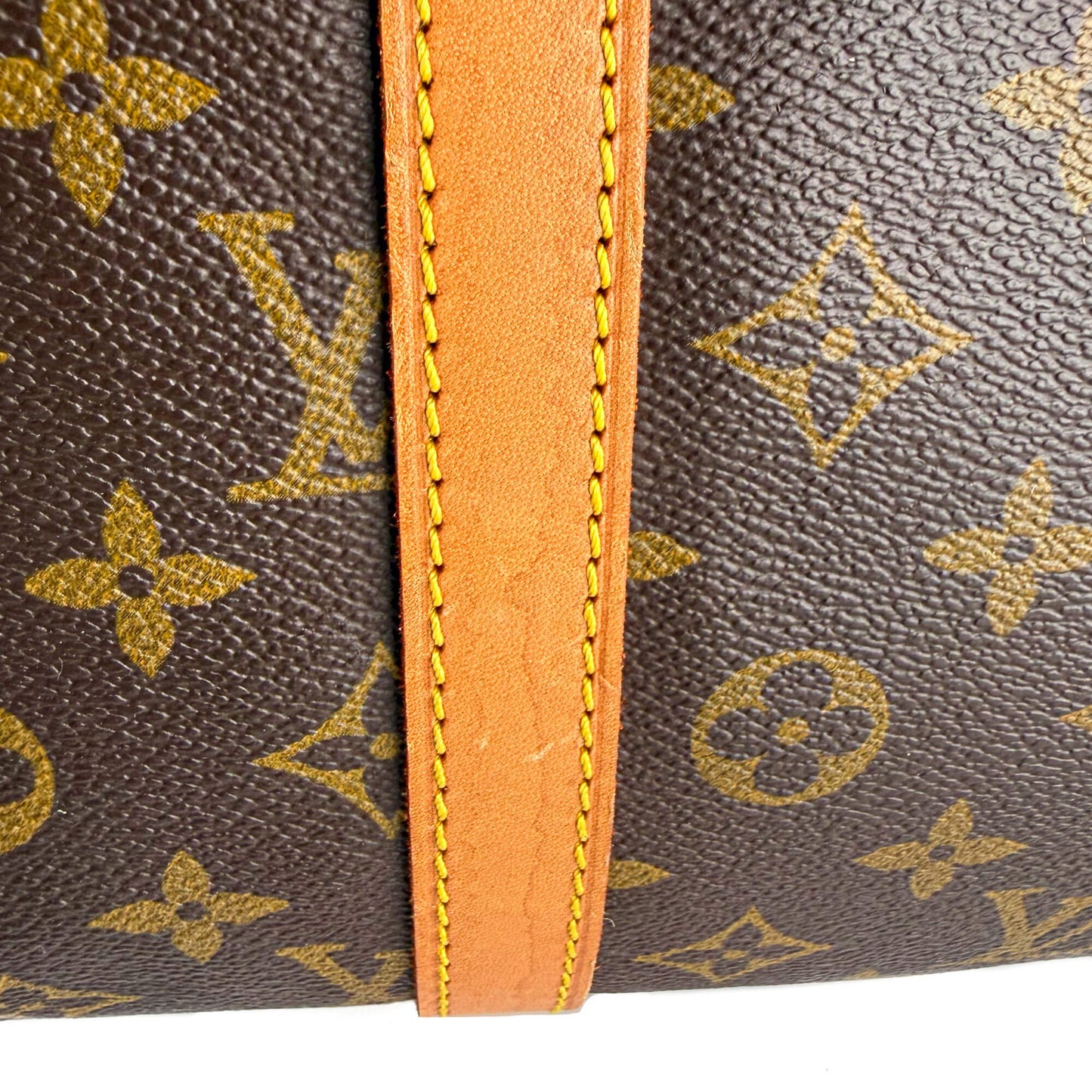 Sac Souple 35 Canvas Trunk Handbag Monogram 