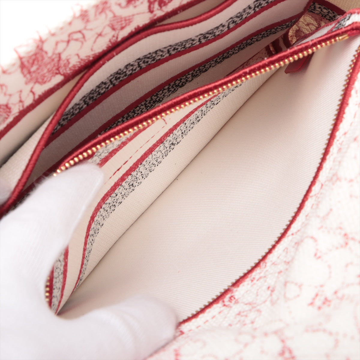 Lady D-Lite Medium Canvas Embroidery Tote Borsa in tessuto bianco ricamata 