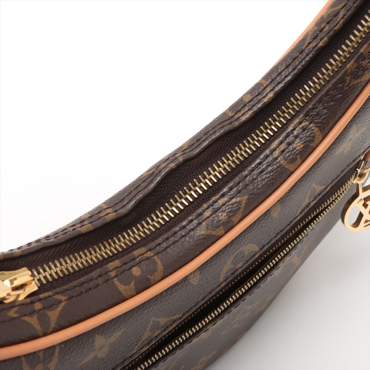 Loop Canvas Hobo Shoulder Bag Brown