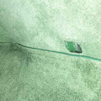 Second hand Céline Belt Bag Nano Grained Calfskin Leather Tote Handbag Green - Tabita Bags