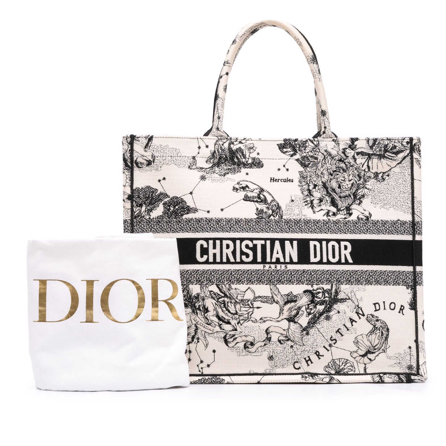 Second hand Dior Book Tote Large Embroidery Canvas Handbag White - Tabita Bags