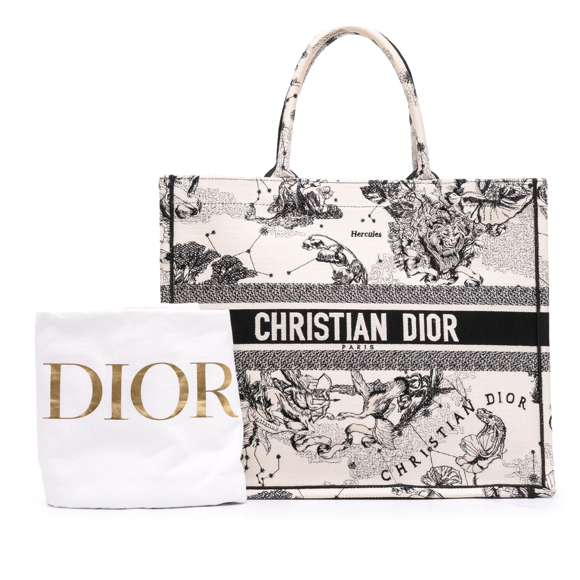 Second hand Dior Book Tote Large Embroidery Canvas Handbag White - Tabita Bags