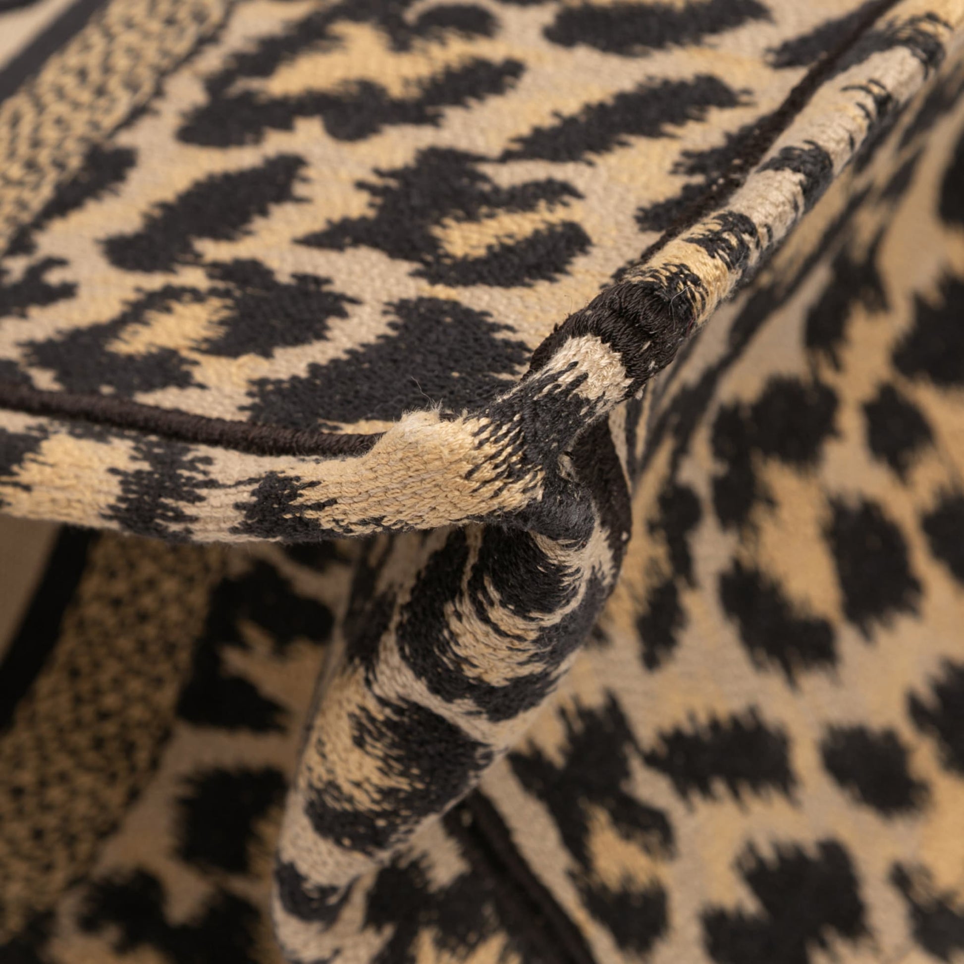 Second hand Dior Book Tote Medium Canvas Embroidery Handbag Mizza Leopard - Tabita Bags