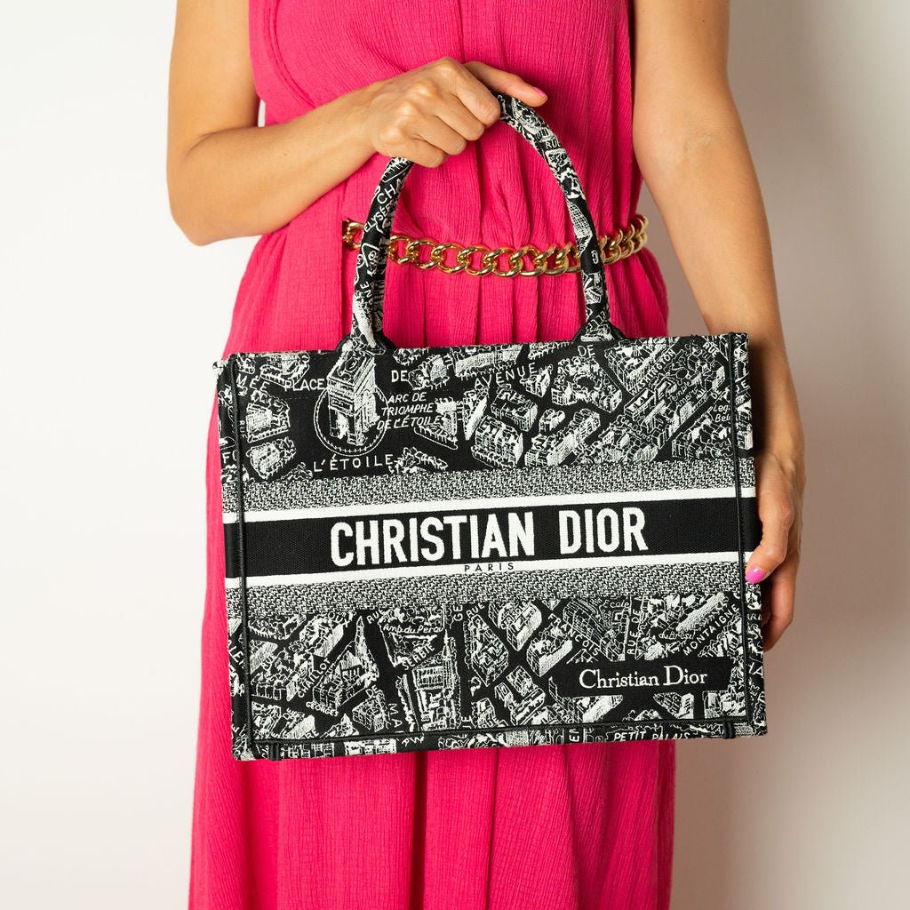Dior Book Tote Medium Canvas Embroidery Handbag Plan de Paris