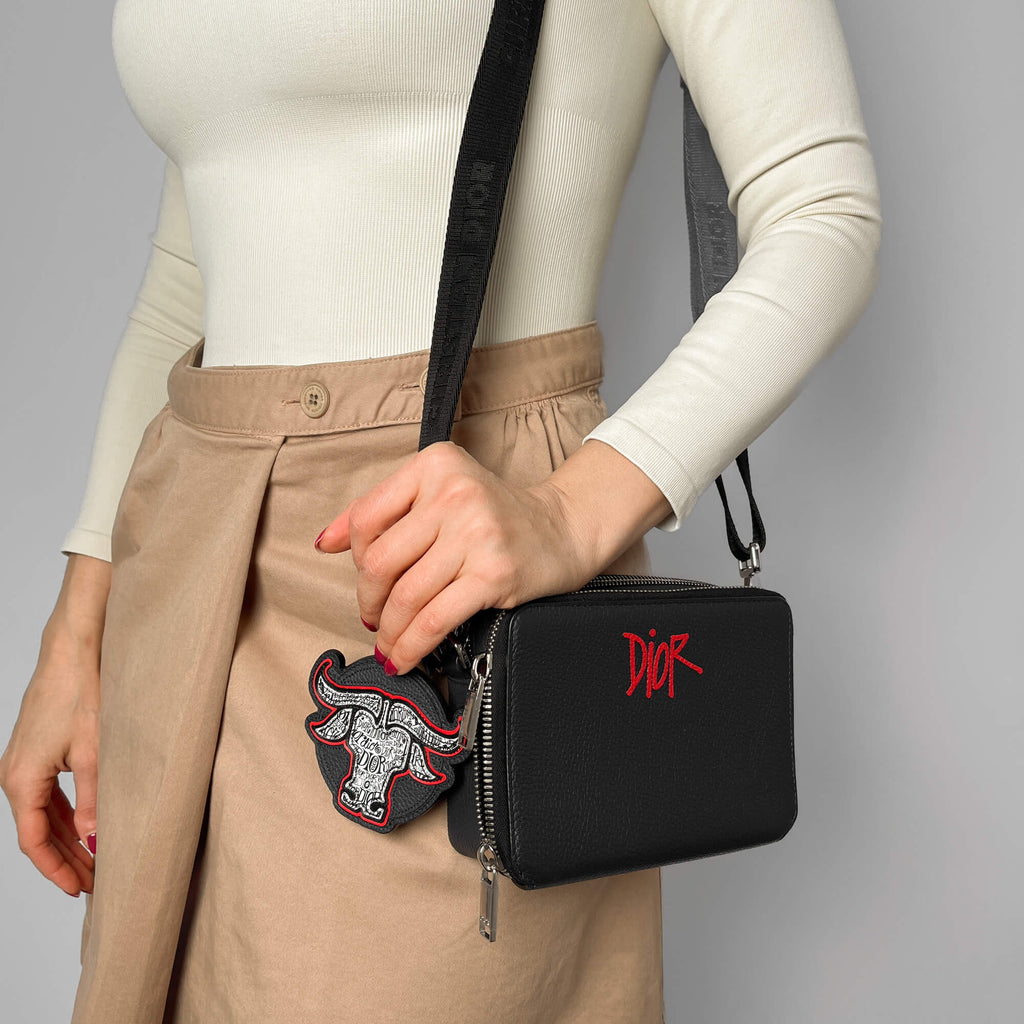 Second hand Dior Dior x Shawn Stussy Leather 2 - Ways Camera Crossbody Blue - Tabita Bags