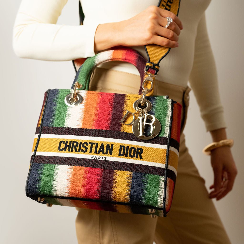 Second hand Dior Lady D - Lite Medium Embroidery Canvas 2 - Ways Tote Bag Multicolor - Tabita Bags