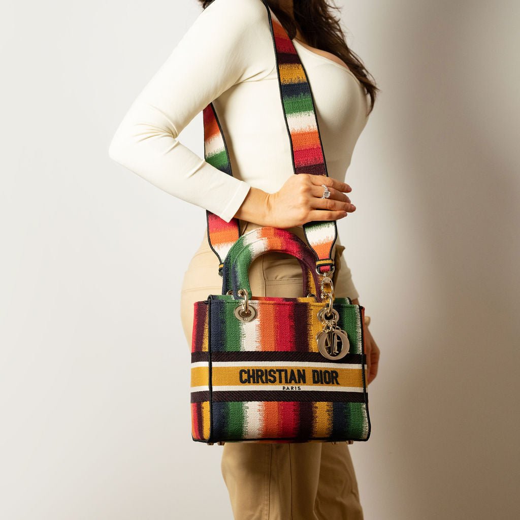 Second hand Dior Lady D - Lite Medium Embroidery Canvas 2 - Ways Tote Bag Multicolor - Tabita Bags