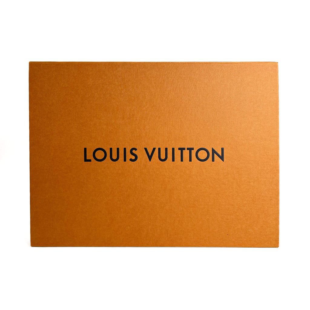 Second hand Louis Vuitton Buci Epi Leather Flap Crossbody Black - Tabita Bags