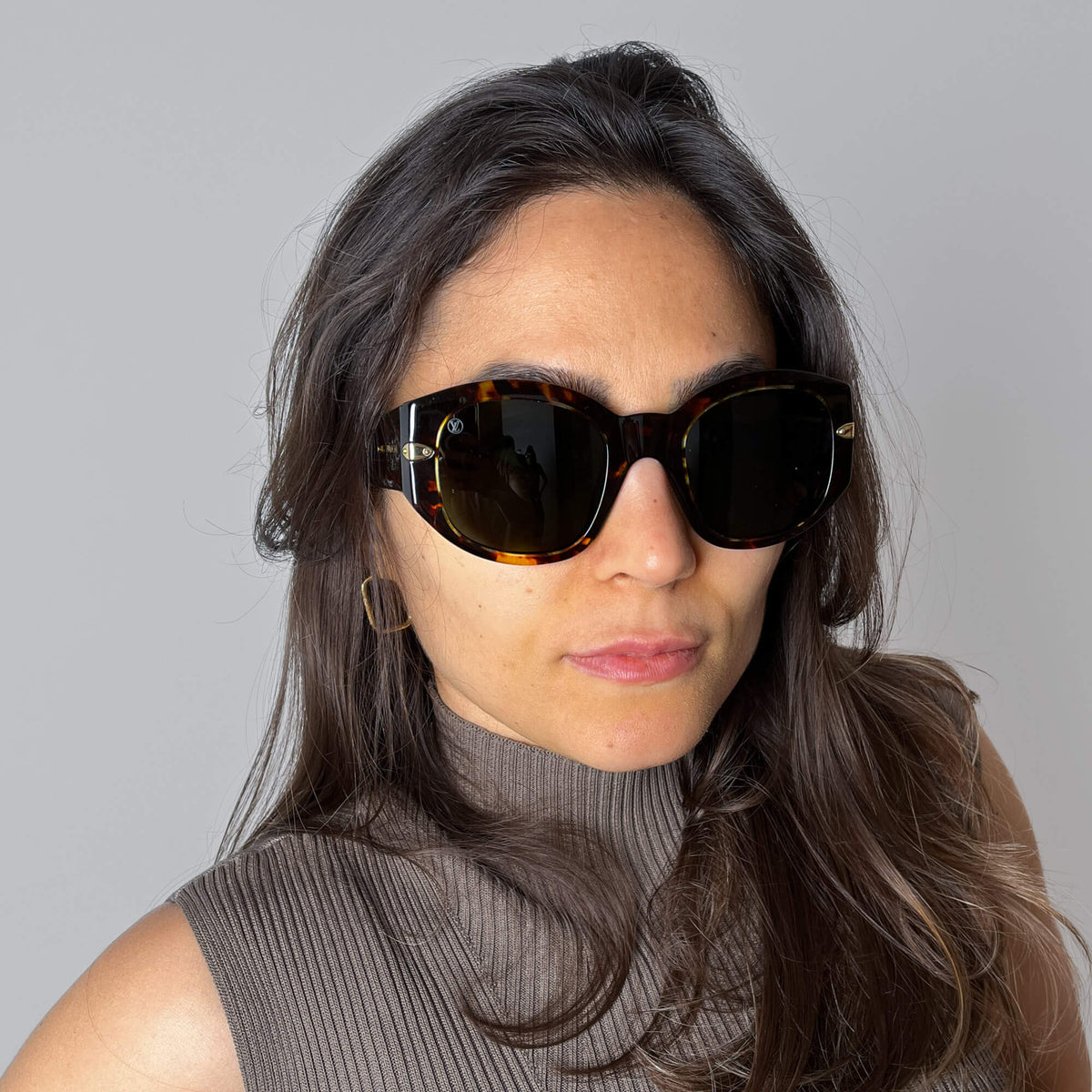 Second hand Louis Vuitton Cat Eye Sunglasses Acetate Brown - Tabita Bags