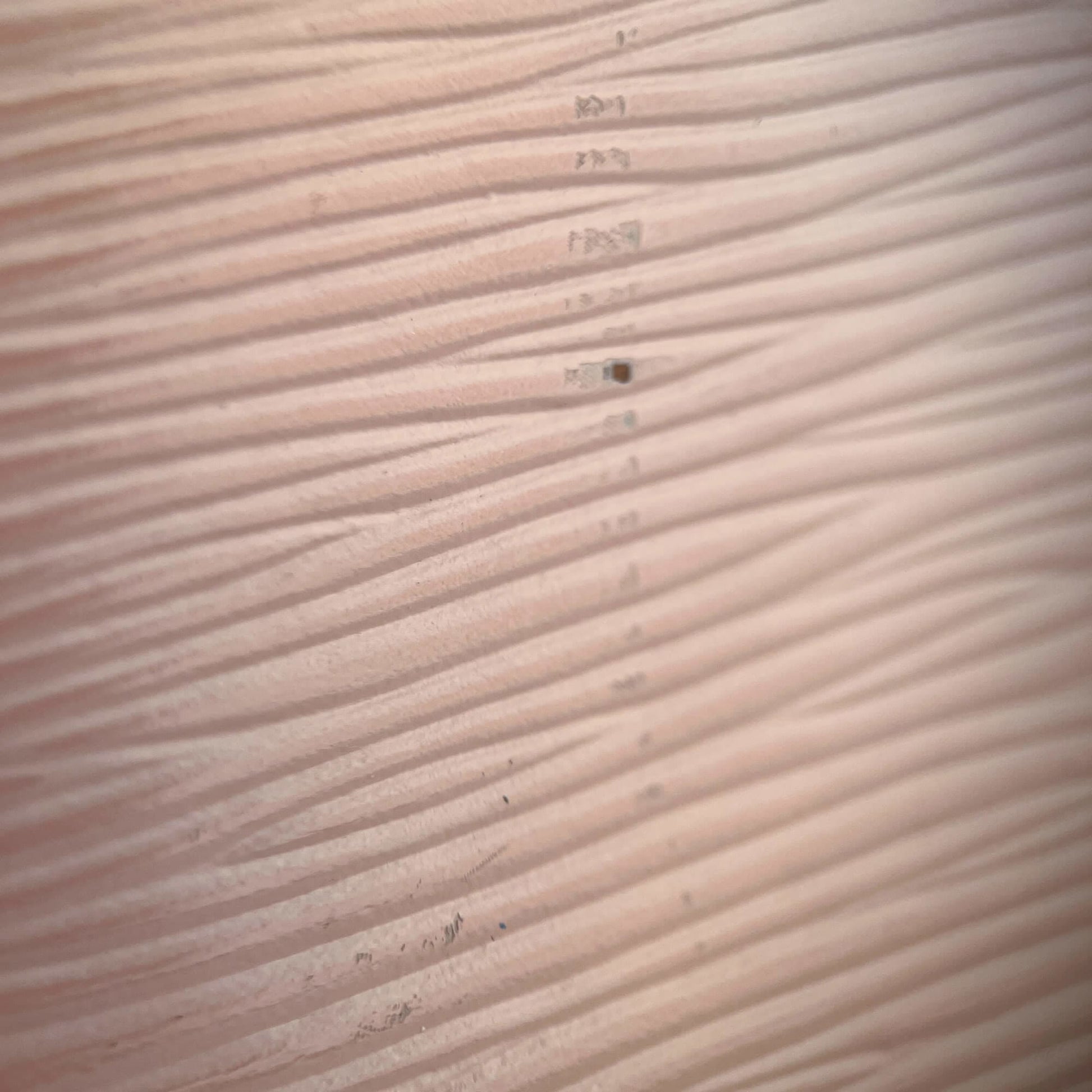 Second hand Louis Vuitton Compact Epi Leather Wallet Pink - Tabita Bags