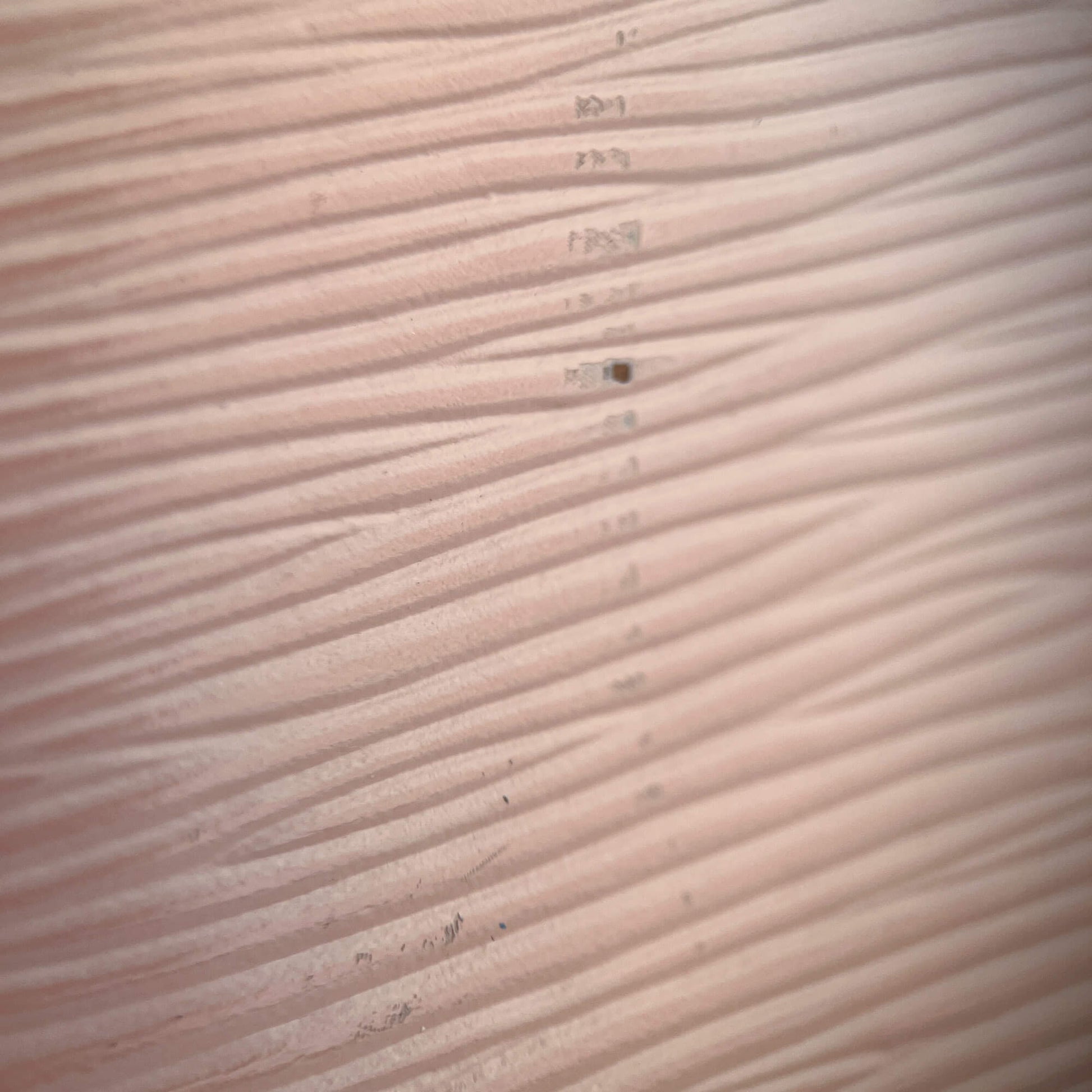 Second hand Louis Vuitton Compact Epi Leather Wallet Pink - Tabita Bags