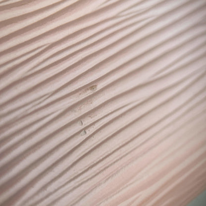 Second hand Louis Vuitton Compact Epi Leather Wallet Pink - Tabita Bags