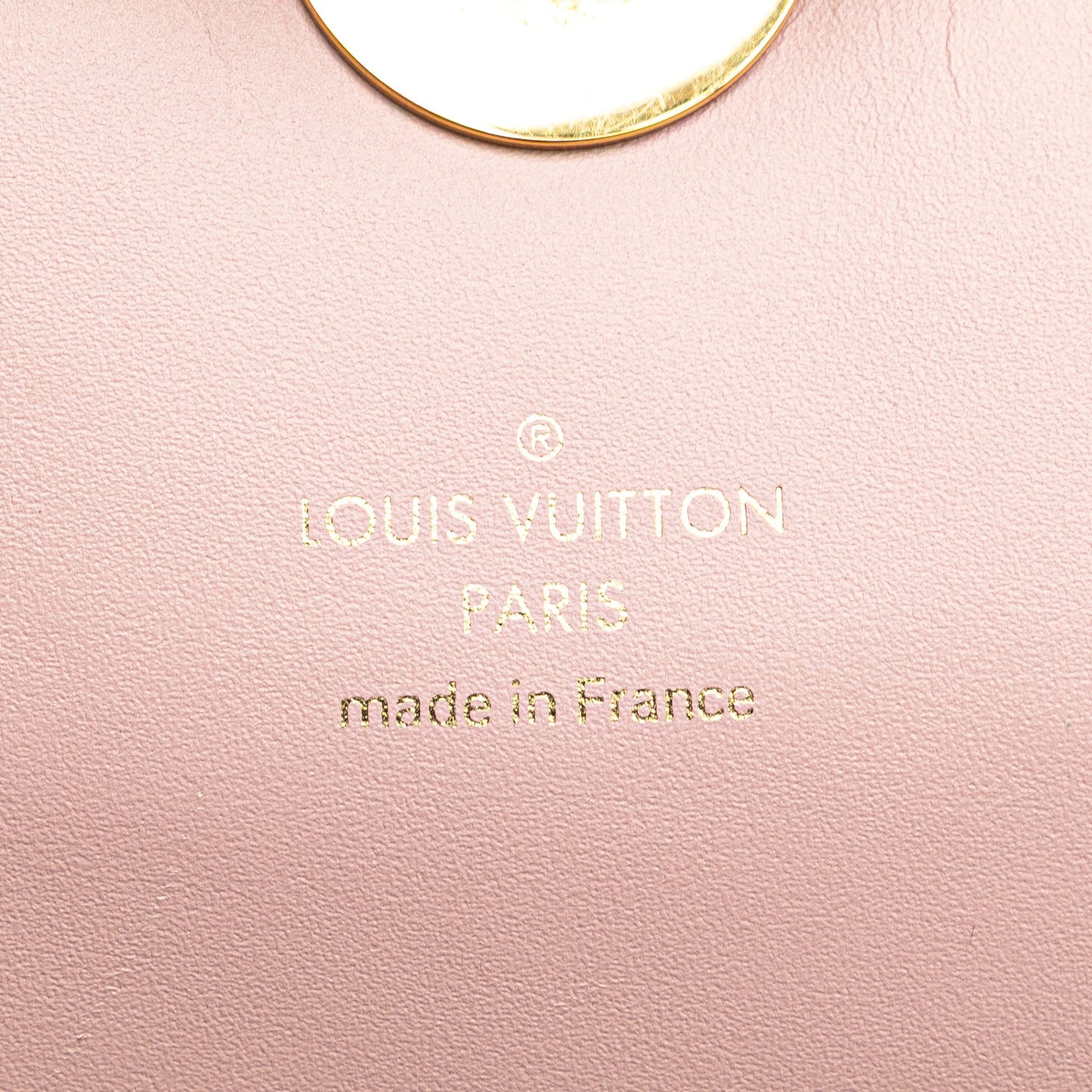 Second hand Louis Vuitton Flore Canvas Wallet on Chain Shoulder Bag Monogram - Tabita Bags