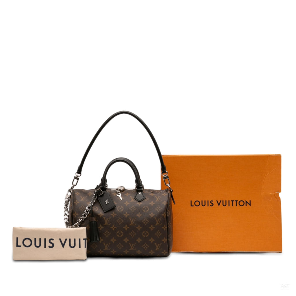 Second hand Louis Vuitton Speedy 30 Canvas Soft Trunk Handbag Monogram - Tabita Bags