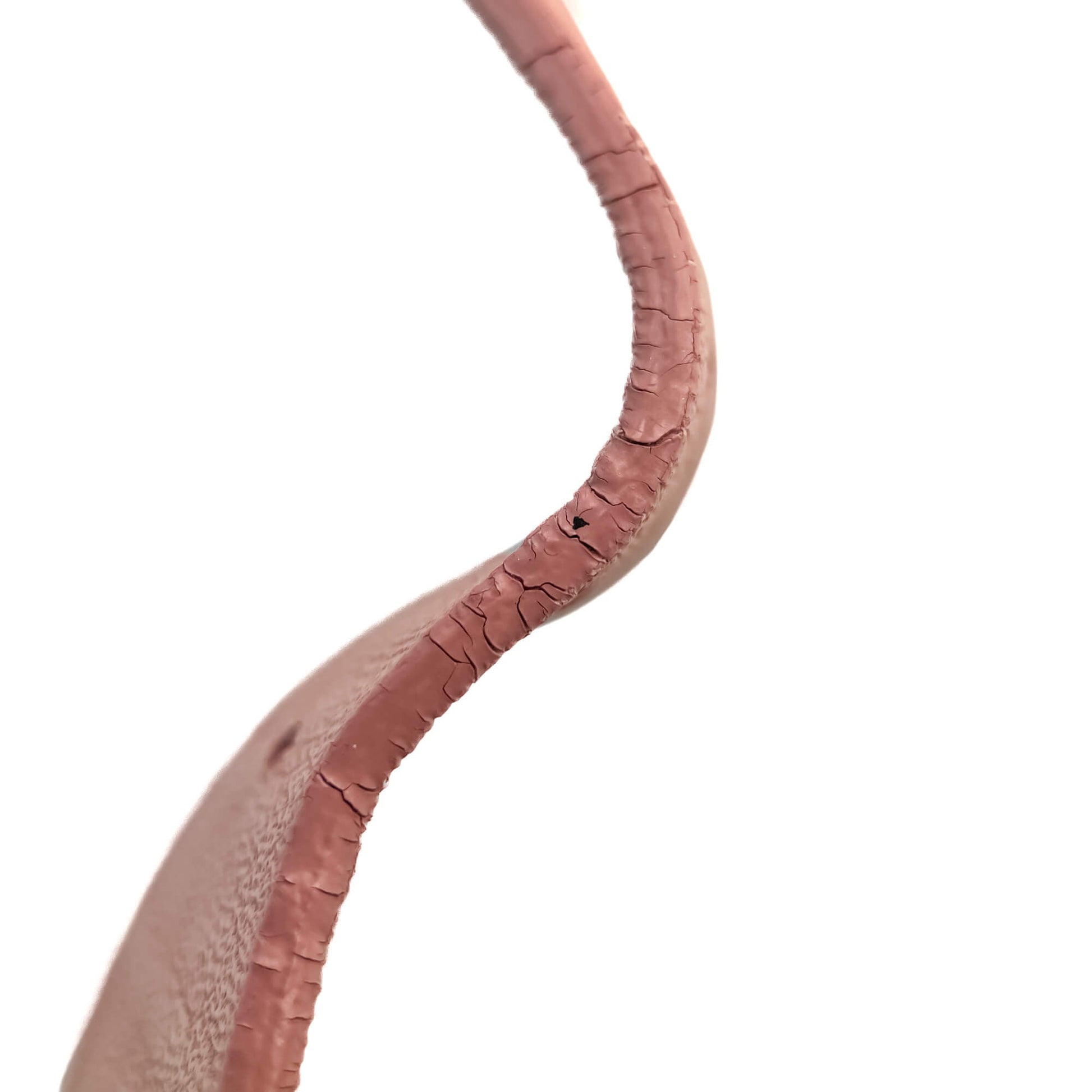 Second hand Valentino Garavani Rockstud Leather Bracelet Pink - Tabita Bags