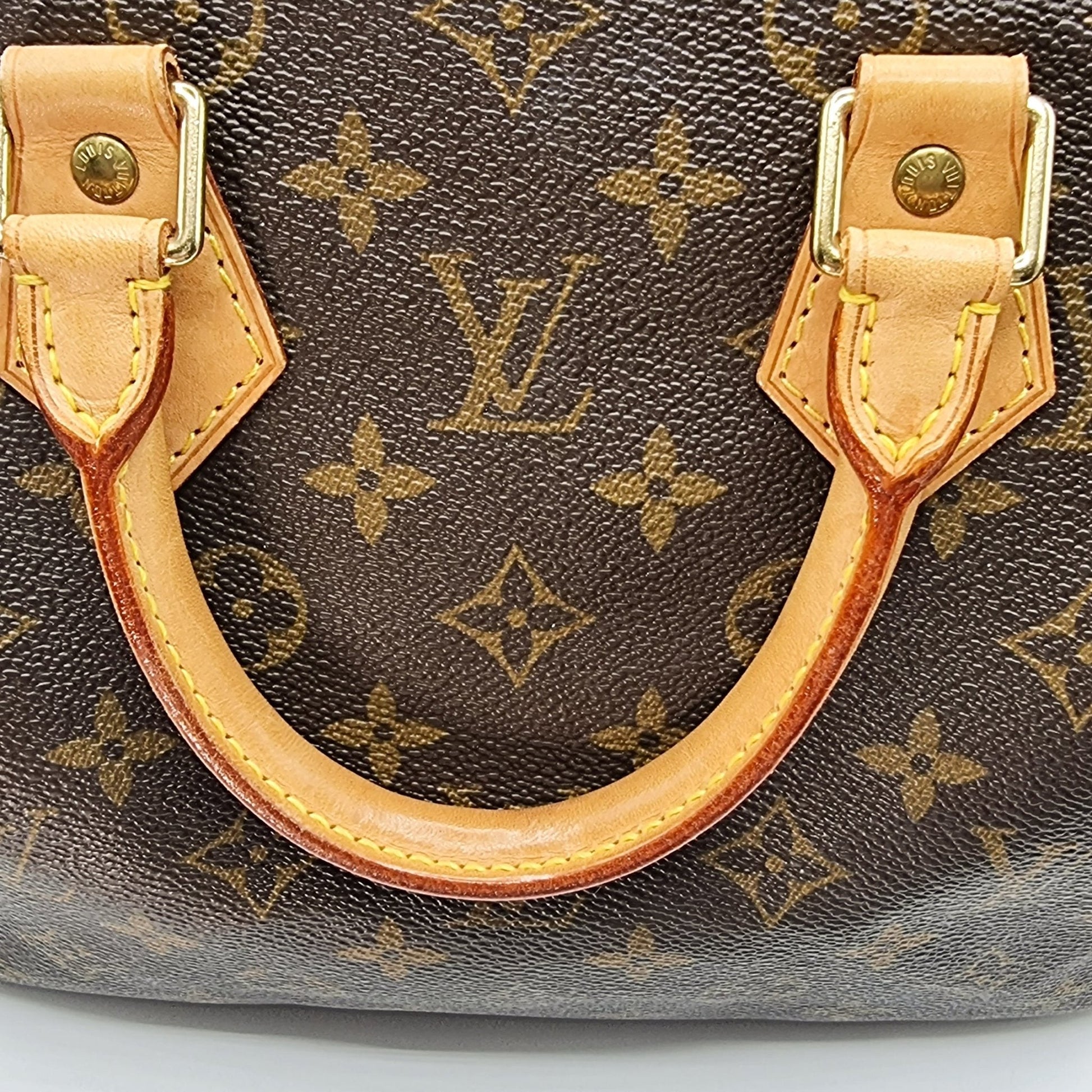 Second hand Louis Vuitton Speedy 25 Monogram - Tabita Bags