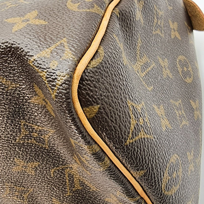 Second hand Louis Vuitton Speedy 25 Monogram - Tabita Bags